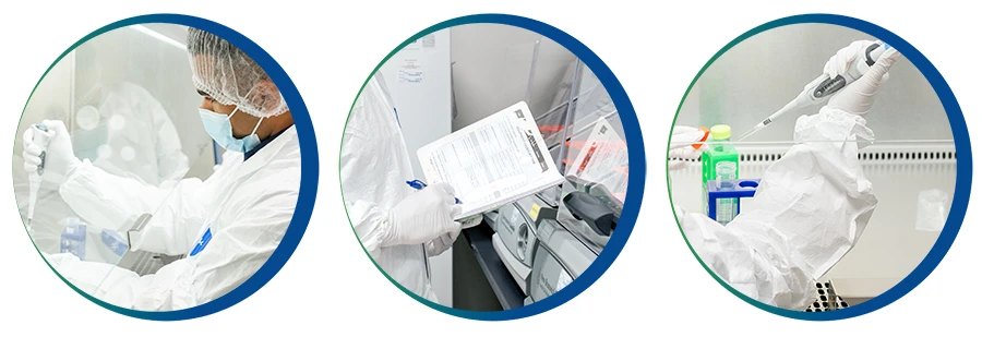 Plasmid DNA production process